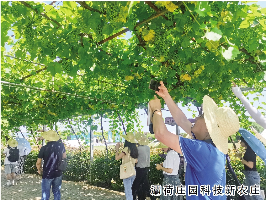 2 综合1.jpg