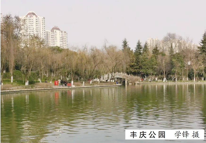 4 抱网.jpg